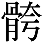 骻: Serifenschrift (Songti/Mingti)