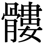 髏: Serifenschrift (Songti/Mingti)