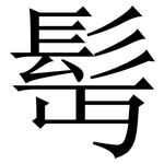 髩: Serifenschrift (Songti/Mingti)