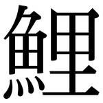 鯉: Serifenschrift (Songti/Mingti)
