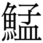 鯭: Serifenschrift (Songti/Mingti)