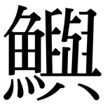 鱮: Serifenschrift (Songti/Mingti)