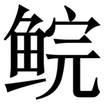 鲩: Serifenschrift (Songti/Mingti)