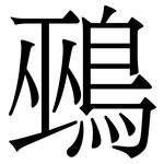 鵐: Serifenschrift (Songti/Mingti)