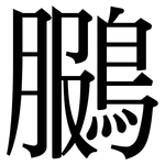 鵩: Serifenschrift (Songti/Mingti)