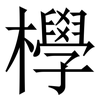 㰒: Serifenschrift (Songti/Mingti)