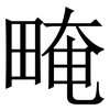 㽢: Serifenschrift (Songti/Mingti)