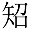 䂏: Serifenschrift (Songti/Mingti)