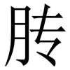 䏝: Serifenschrift (Songti/Mingti)