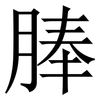 䏾: Serifenschrift (Songti/Mingti)