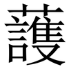 䕶: Serifenschrift (Songti/Mingti)