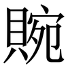 䝹: Serifenschrift (Songti/Mingti)