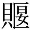 䞁: Serifenschrift (Songti/Mingti)