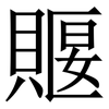 䞁: Serifenschrift (Songti/Mingti)