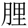 䤚: Serifenschrift (Songti/Mingti)