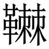 䪂: Serifenschrift (Songti/Mingti)