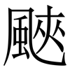 䬊: Serifenschrift (Songti/Mingti)