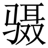 䯅: Serifenschrift (Songti/Mingti)