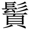 䰅: Serifenschrift (Songti/Mingti)