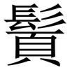 䰅: Serifenschrift (Songti/Mingti)