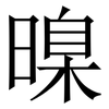 暞: Serifenschrift (Songti/Mingti)