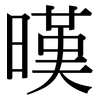 暵: Serifenschrift (Songti/Mingti)