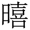 暿: Serifenschrift (Songti/Mingti) 暿: Serifenschrift (Songti/Mingti)