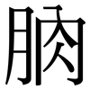朒: Serifenschrift (Songti/Mingti)