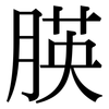 朠: Serifenschrift (Songti/Mingti)