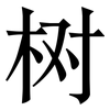 树: serif (Songti/Mingti) 树: serif (Songti/Mingti)