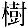 樹: Serifenschrift (Songti/Mingti)