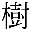 樹: Serifenschrift (Songti/Mingti)