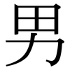 男: Serifenschrift (Songti/Mingti)