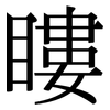 瞜: Serifenschrift (Songti/Mingti)