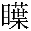 瞸: Serifenschrift (Songti/Mingti) 瞸: Serifenschrift (Songti/Mingti)