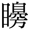 矏: Serifenschrift (Songti/Mingti)
