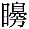 矏: Serifenschrift (Songti/Mingti)