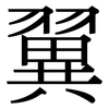 翼: serif (Songti/Mingti) 翼: serif (Songti/Mingti)