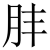肨: Serifenschrift (Songti/Mingti)