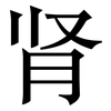 肾: Serifenschrift (Songti/Mingti)