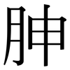 胂: Serifenschrift (Songti/Mingti)