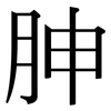 胂: Serifenschrift (Songti/Mingti)