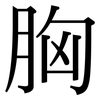 胸: Serifenschrift (Songti/Mingti)