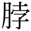 脖: Serifenschrift (Songti/Mingti)