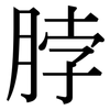 脖: Serifenschrift (Songti/Mingti)