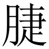 脻: Serifenschrift (Songti/Mingti)