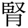 腎: Serifenschrift (Songti/Mingti)