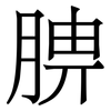 腗: Serifenschrift (Songti/Mingti)