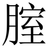 腟: Serifenschrift (Songti/Mingti)