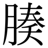 腠: Serifenschrift (Songti/Mingti)